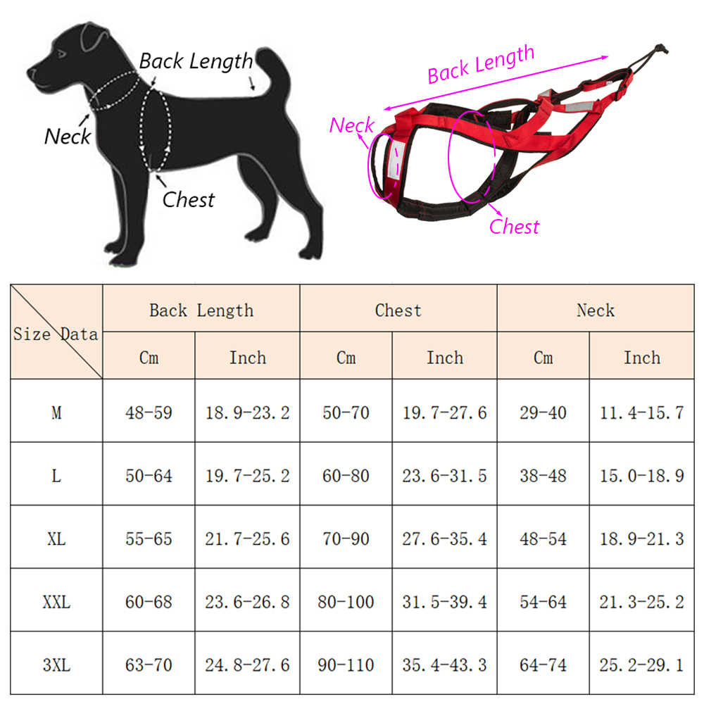 High Quality Big Dog Sledge Ha - огляд і ціна Reflective Running Jacket
