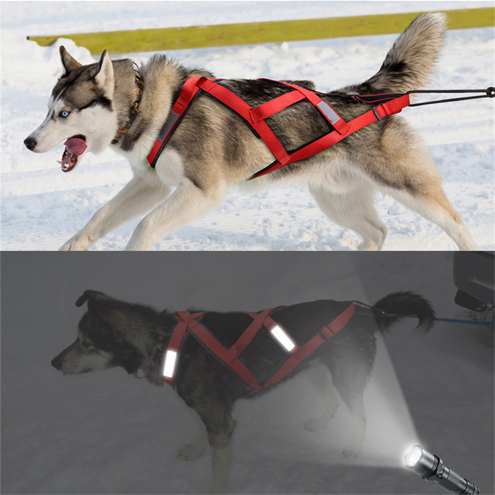 High Quality Big Dog Sledge Ha - огляд і ціна Reflective Running Jacket
